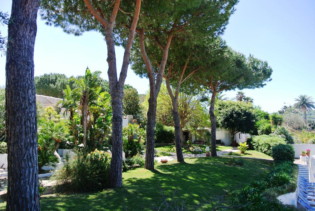 SENTIDO Paradiso Terme Resort&SPA con 5 piscine termali Forio di Ischia Esterno foto